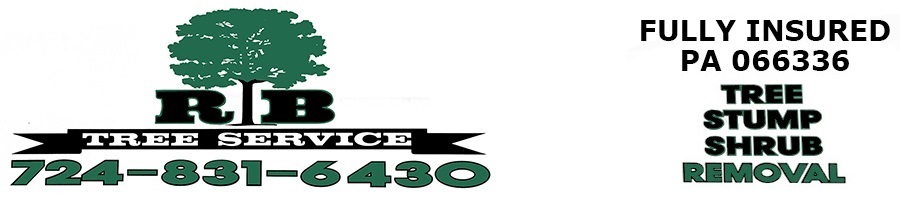 RB Tree Service — fully insured, PA 066336