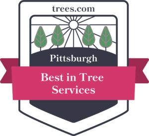 Trees.com best tree service badge